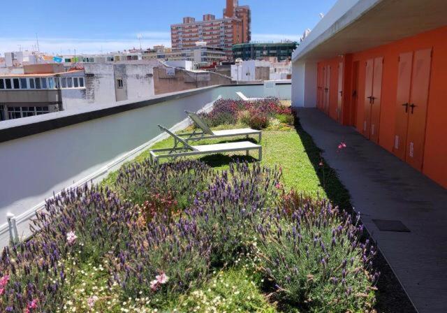 Zen Garden Apartman Las Palmas de Gran Canaria Kültér fotó